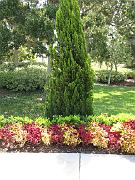 Anniversary - Flagler Beach - Aug 2012 143